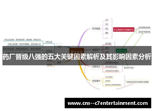 药厂晋级八强的五大关键因素解析及其影响因素分析