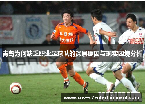 青岛为何缺乏职业足球队的深层原因与现实困境分析